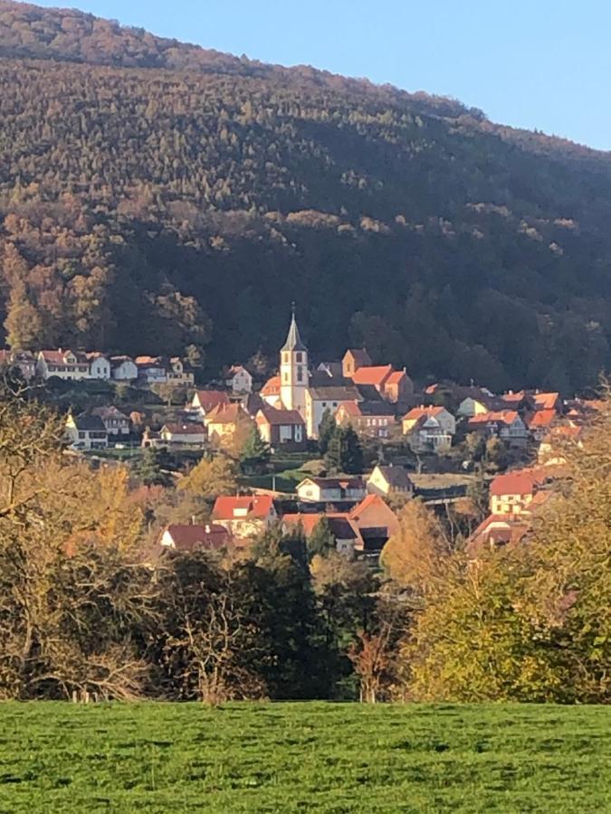Gite L'Instant Durable Oberbronn Luaran gambar