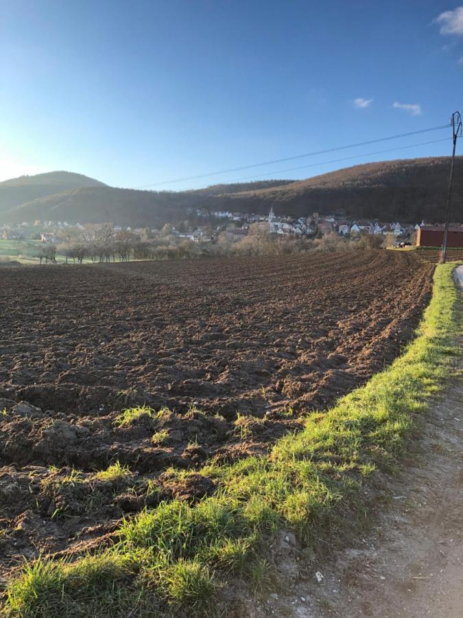 Gite L'Instant Durable Oberbronn Luaran gambar